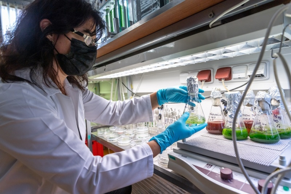 Laboratory of Applications