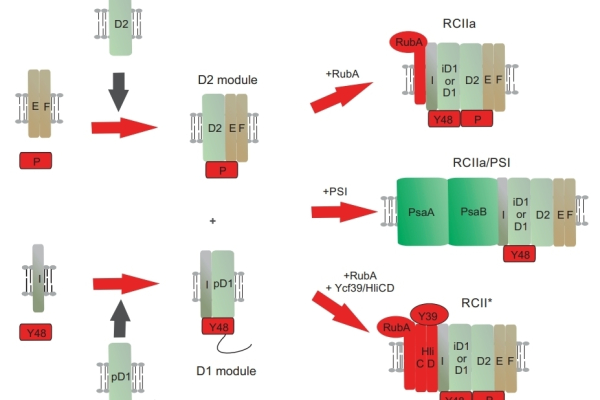 New published paper