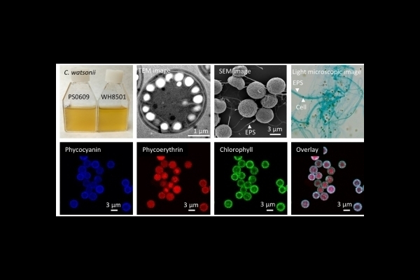 Long awaited review published