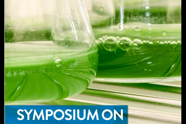 Symposium on Microalgae