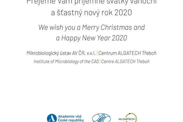 Happy New Year 2020