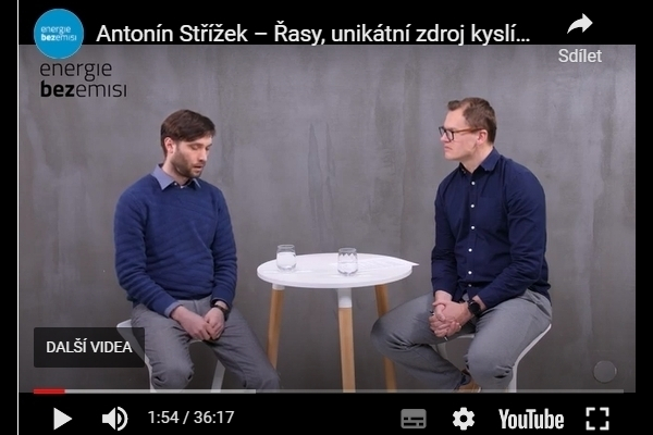 O řasách a jejich přínosu pro moderní technologie