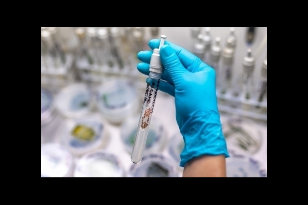 100+1 Zázraky medicíny píše o řasách